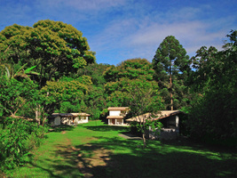 Dhamma Saraṇa Vipassana Meditation Centre 