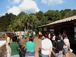 Dhamma Saraṇa Vipassana Meditation Centre Brazil