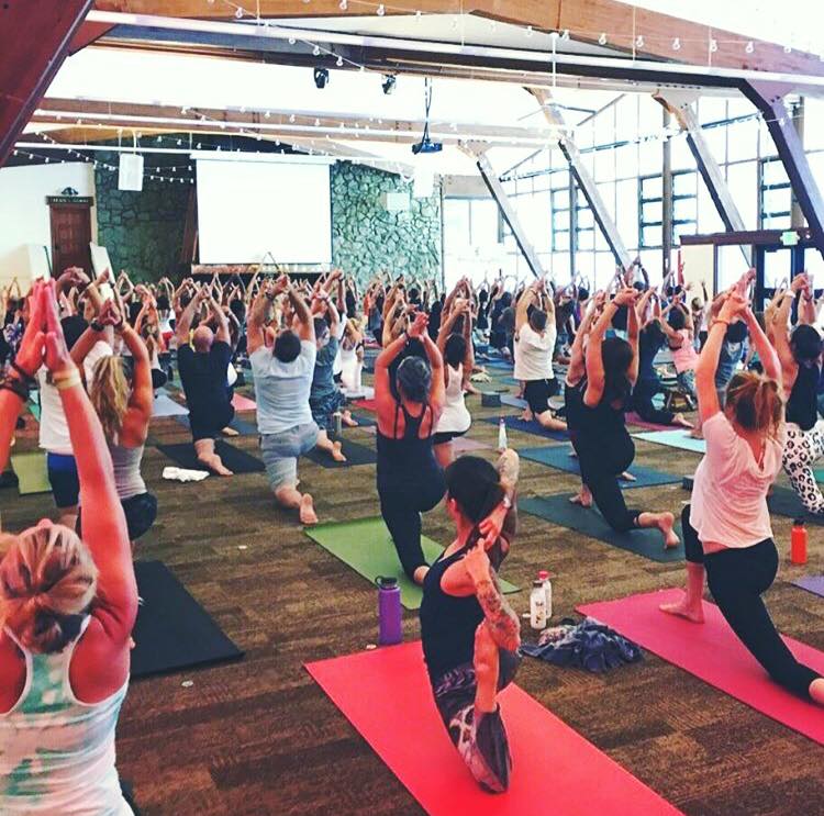 Dharma Yoga Center 