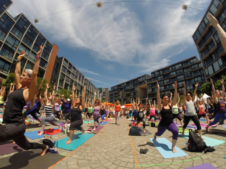 Dig Yoga Studio Lambertville