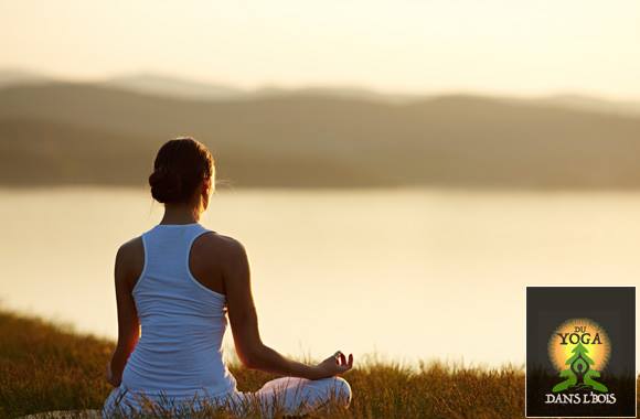 Du Yoga Dans L'bois Retreat 