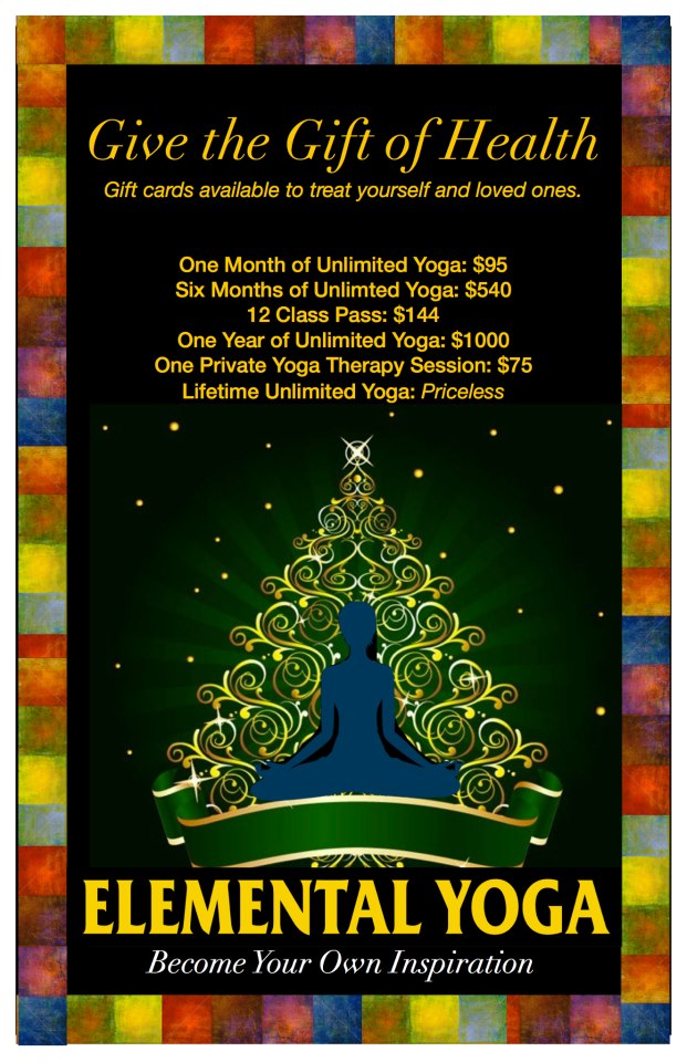 Elemental Yoga North Yoga Studio 