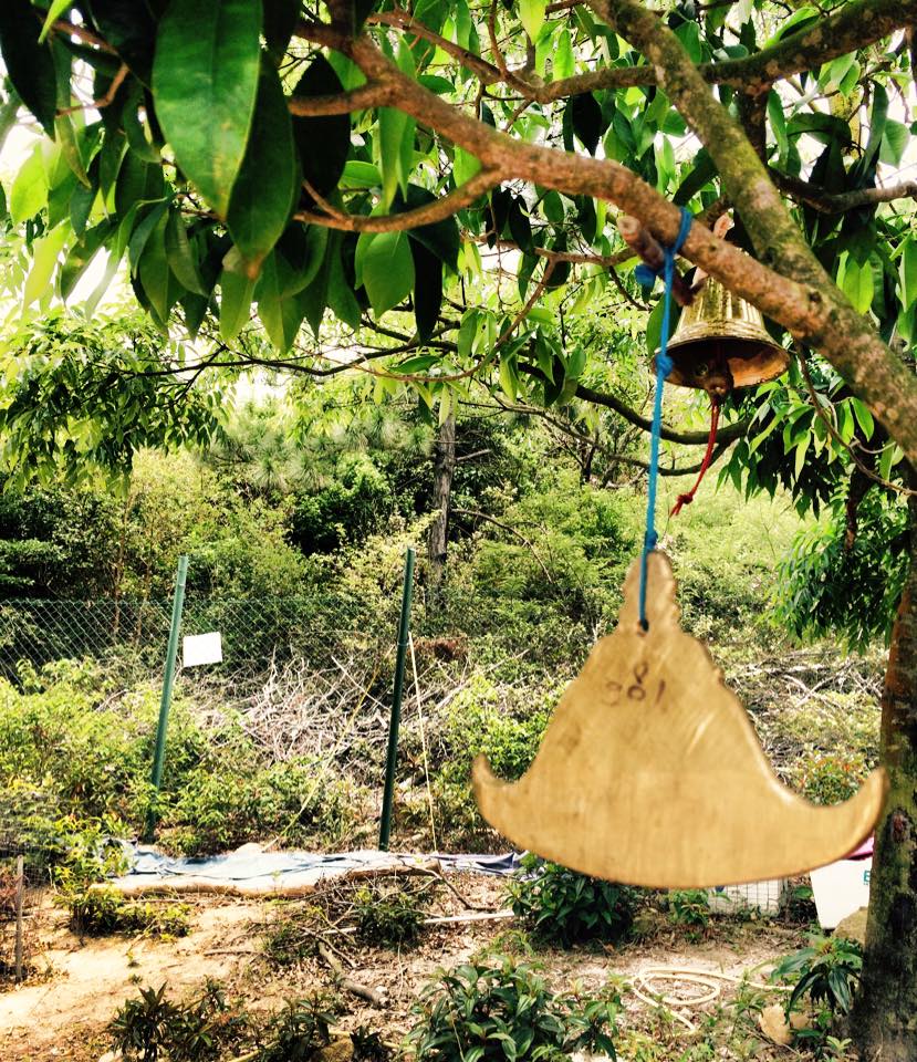 Vipassana Meditation Center 