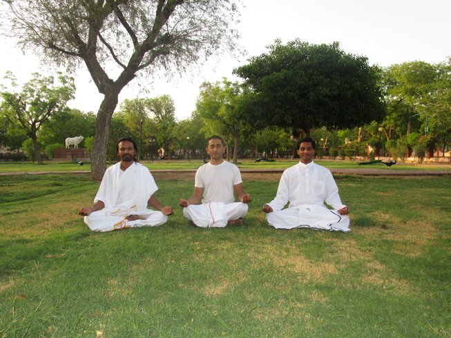 Hari Om Yoga Vidya School 