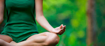 Hari Om Yoga Vidya School Rishikesh