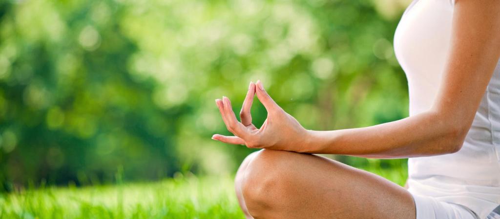 Hari Om Yoga Vidya School 