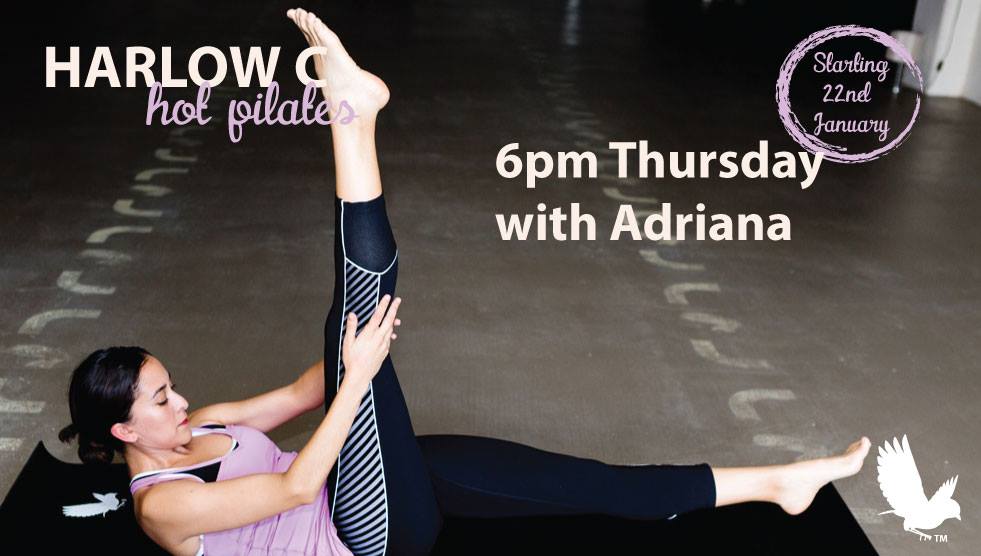 Harlow Hot Pilates And Yoga