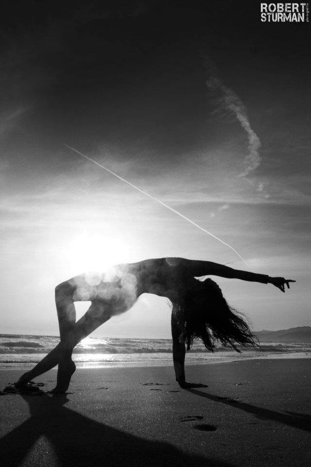 Hot Dog Yoga Studio 
