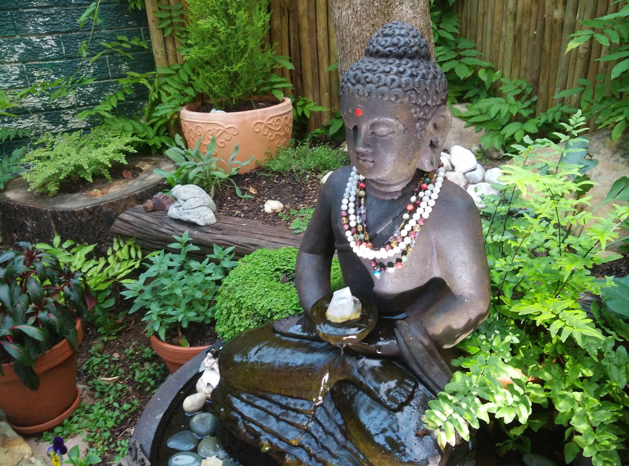 Indipam’s Yoga House Cape Town