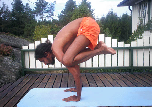 International Vasishta Yoga Research Foundation 