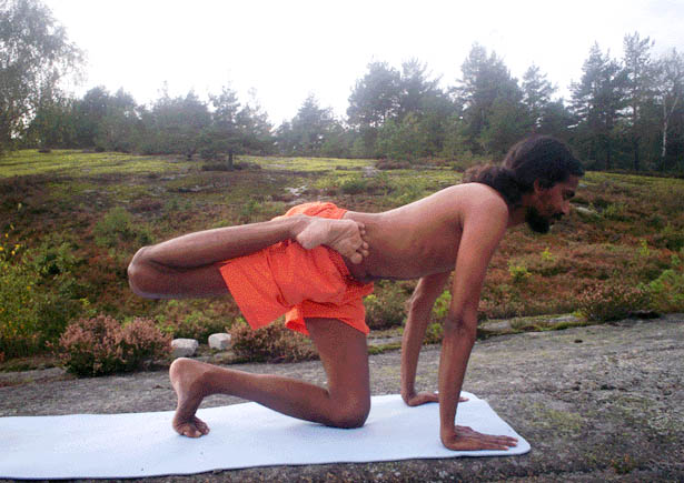 International Vasishta Yoga Research Foundation