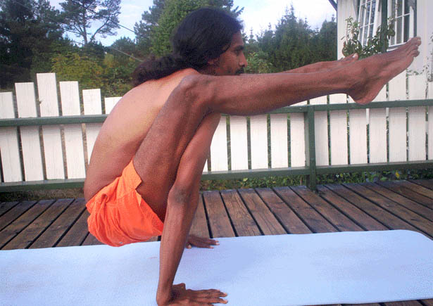 International Vasishta Yoga Research Foundation 