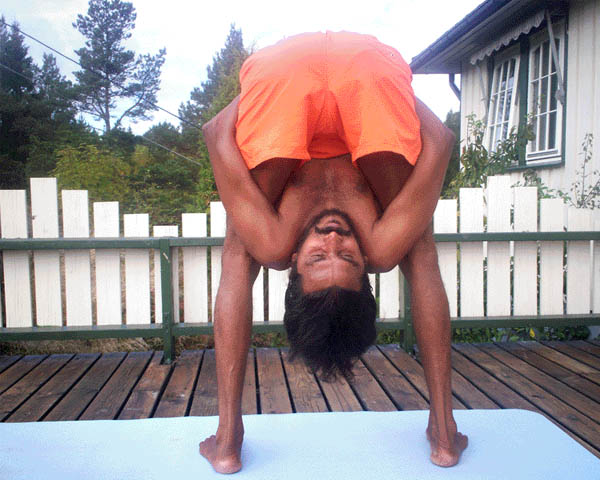 International Vasishta Yoga Research Foundation