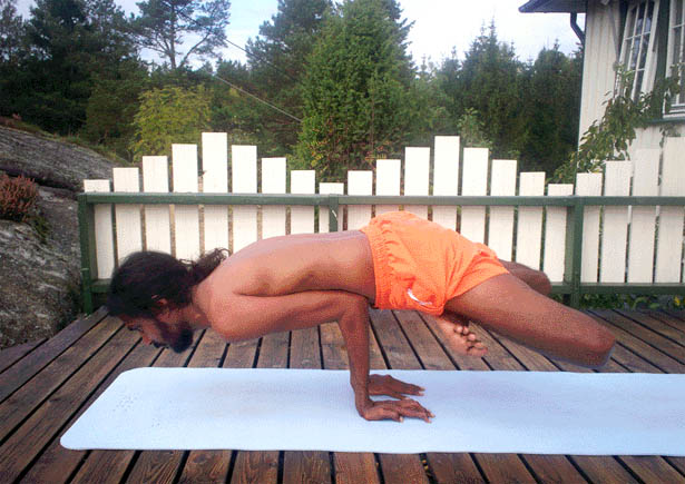 International Vasishta Yoga Research Foundation 
