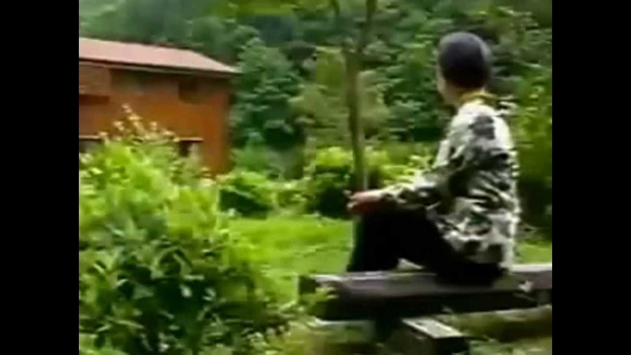 Dhamma Bhanu Vipassana Meditation Centre Japan