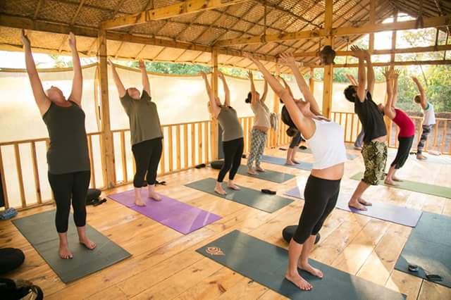 Love The Green Yoga Retreat Goa India
