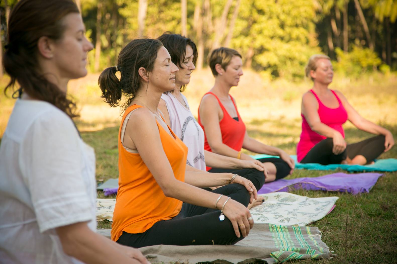 Love The Green Yoga Retreat Goa 