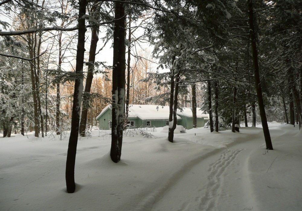 Vipassana Meditation Center Canada