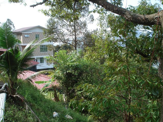 Vipassana Meditation Center Penang Hill East Malaysia