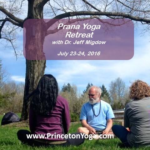 Princeton Center For Yoga And Health 