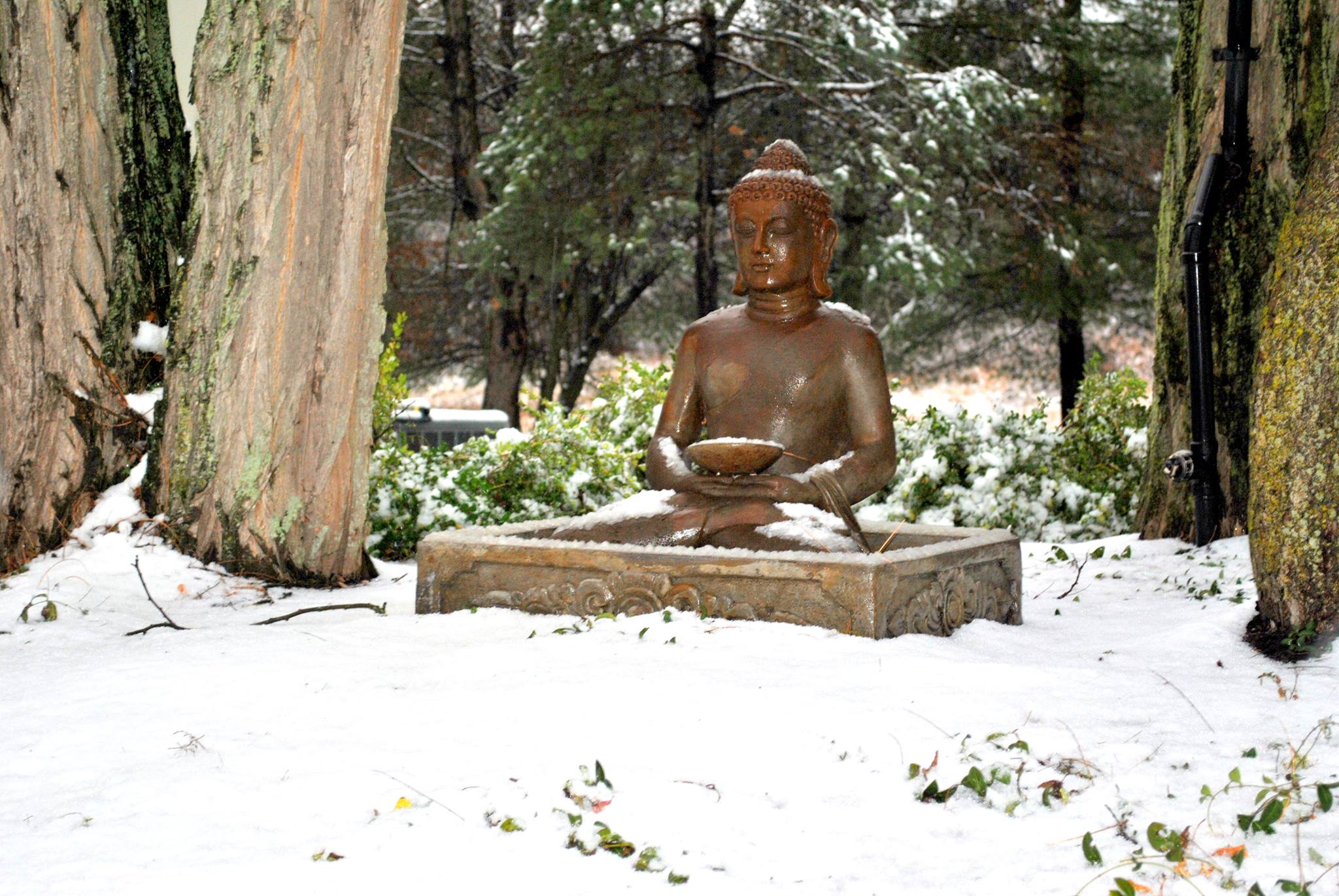 Princeton Center For Yoga And Health 