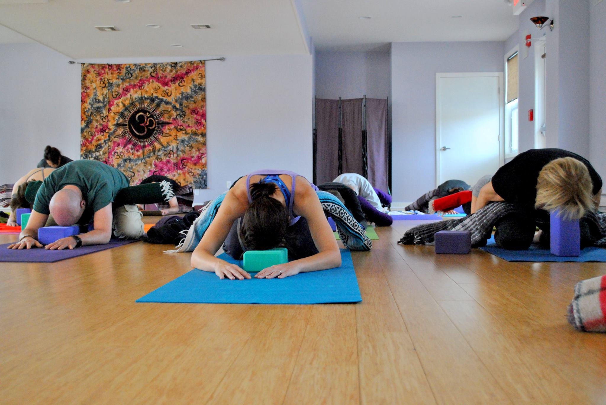 Princeton Center For Yoga And Health 