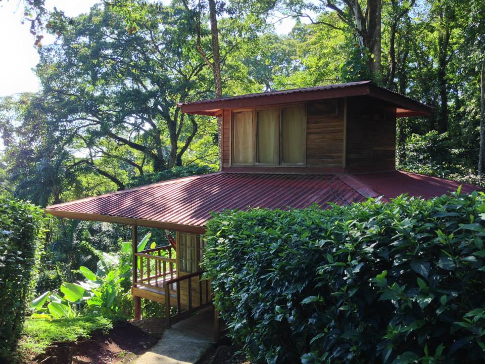 Samasati Retreat And Rainforest 