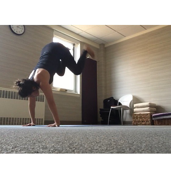 Sangha Yoga Shala 