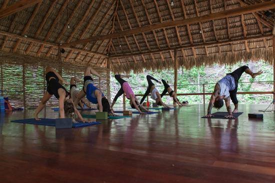 Sangha Yoga Shala Brooklyn