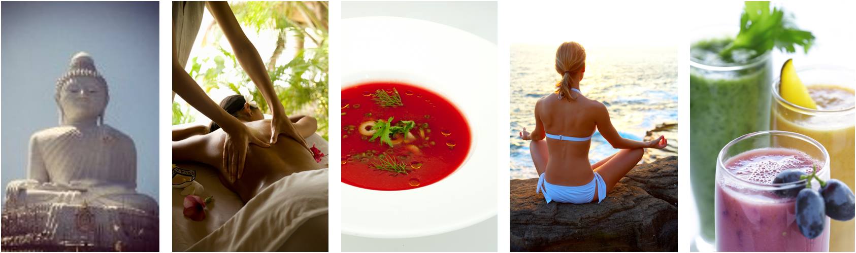 Santosa Detox Wellness Center 