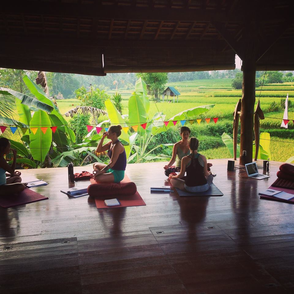 School Yoga Institute United States