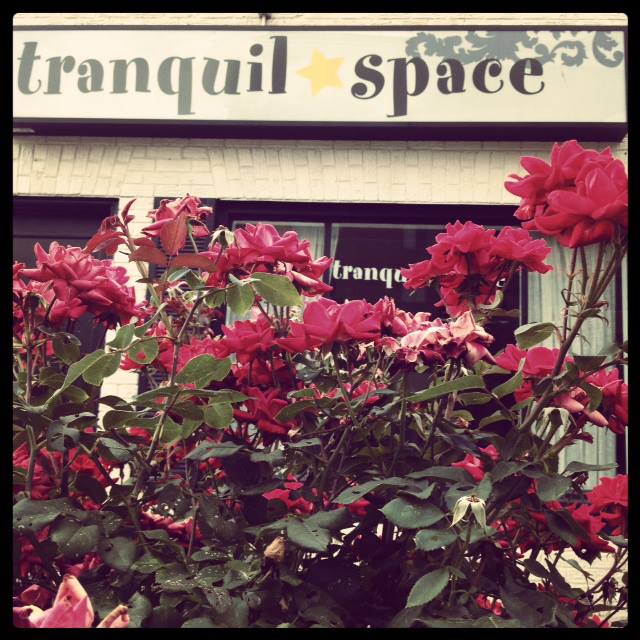 Tranquil Space Yoga Center United States