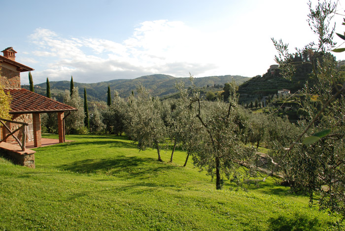  Arezzo