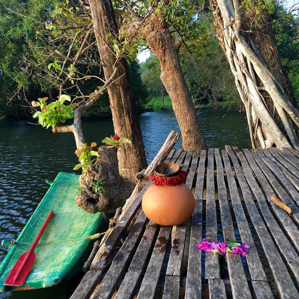Ulpotha Yoga Holidays Sri Lanka