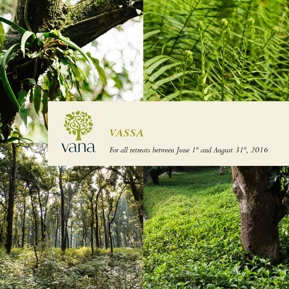 Vana Wellness Retreat
