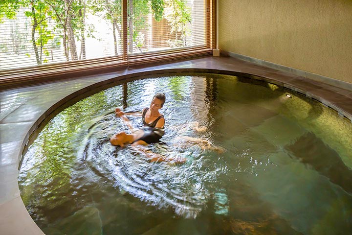 Vana Wellness Retreat 