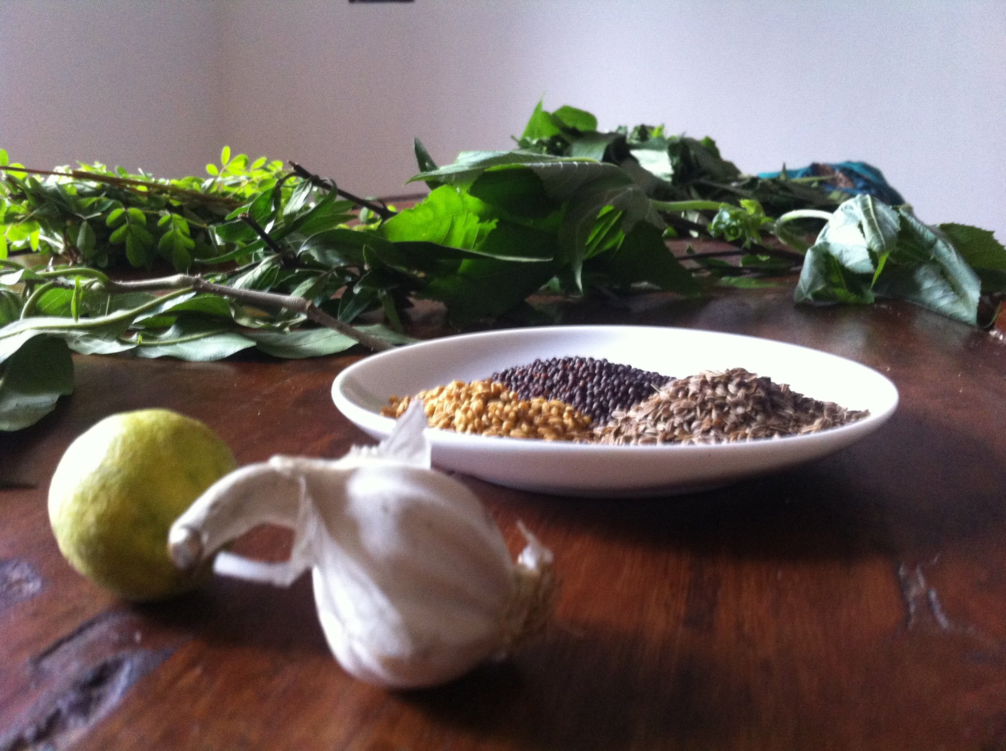 Vedaguru Ayurvedic Centre 