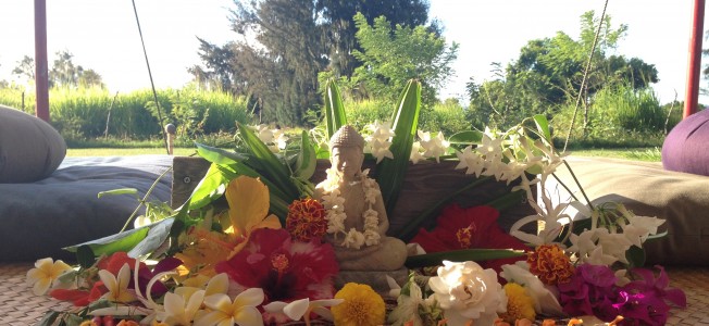 Vipassana Meditation Center 