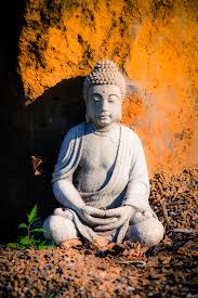 Vipassana Meditation Center 
