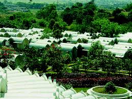 Vipassana Meditation Centre 