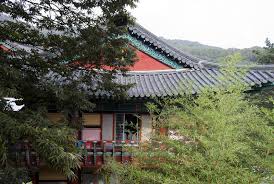 Vipassana Meditation Centre Gros Cailloux