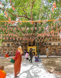 Vipassana Meditation Centre 