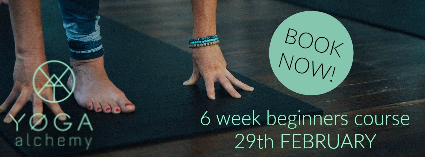 Yoga Alchemy Studio 