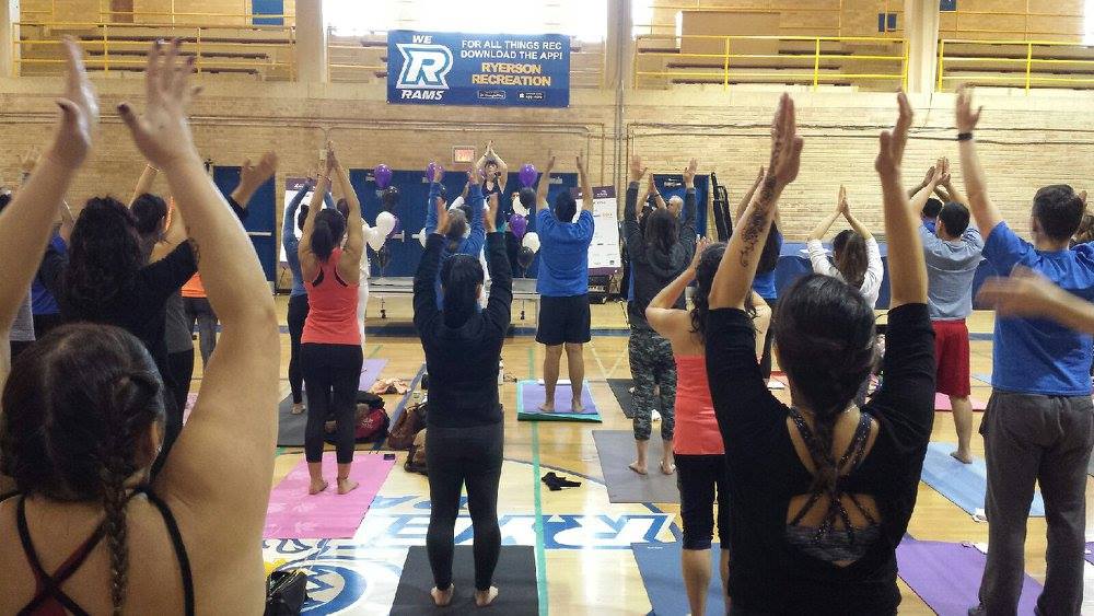 Yoga Fit Studio 