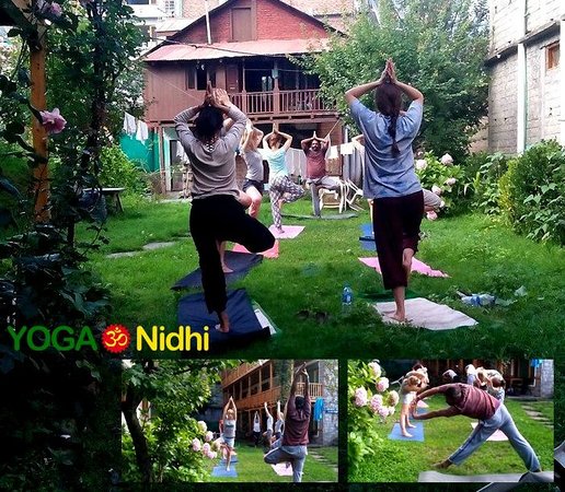Yoga Nidhi India