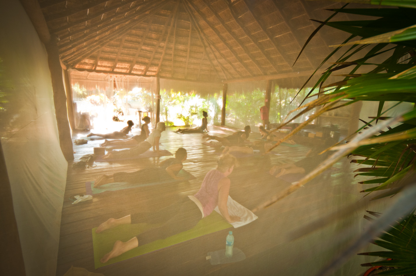 Yoga Shala Tulum Mexico