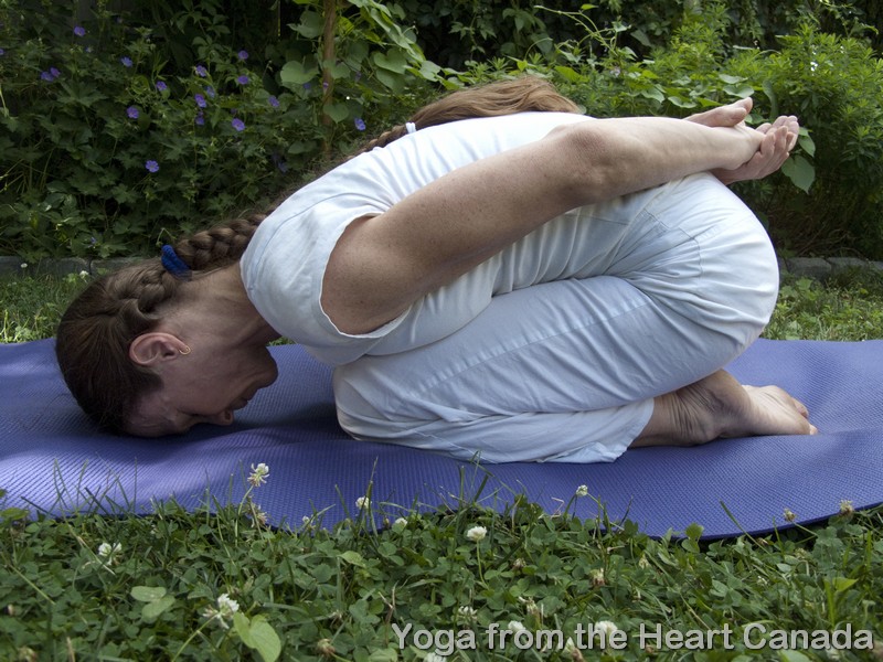 Yoga From The Heart Institute 