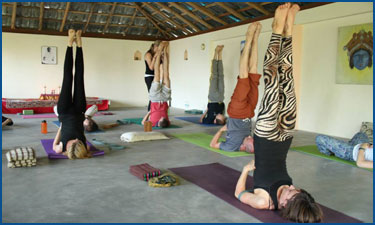 Yoga Marg Teacher Training For Body Mind Soul 