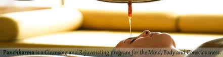 Bliss Ayurveda Health Centrer 
