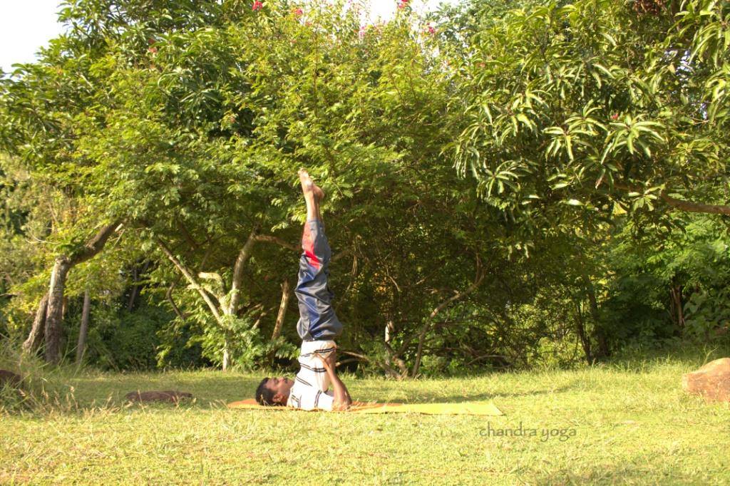 Chandra Yoga Thiruvananthapuram 